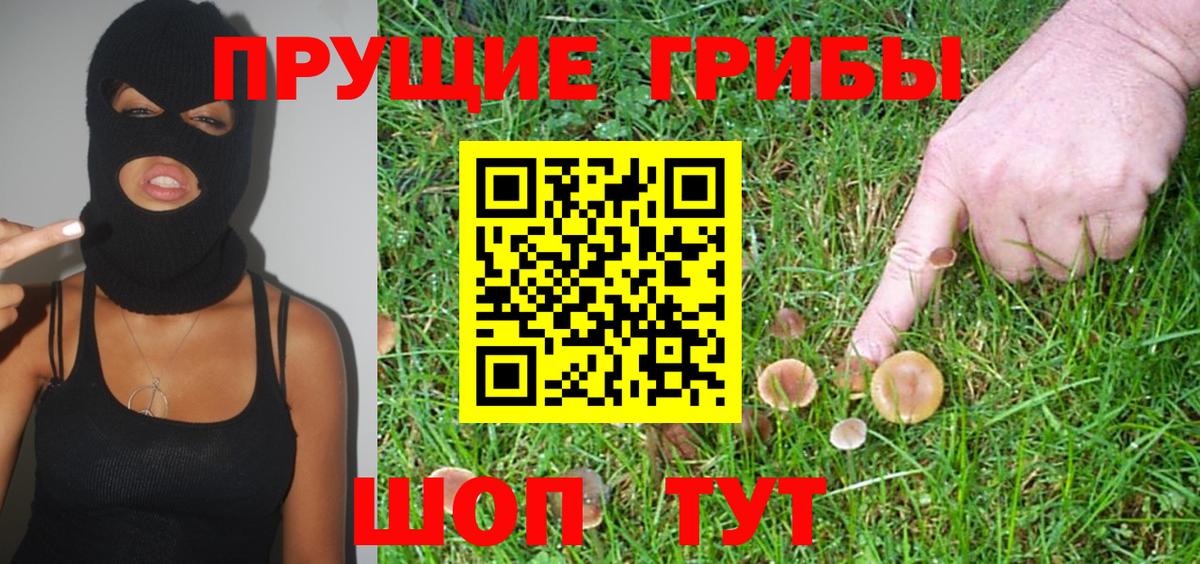 Шадринск  цены   Вход с VPN  Псилоцибиновые грибы прущие грибы 