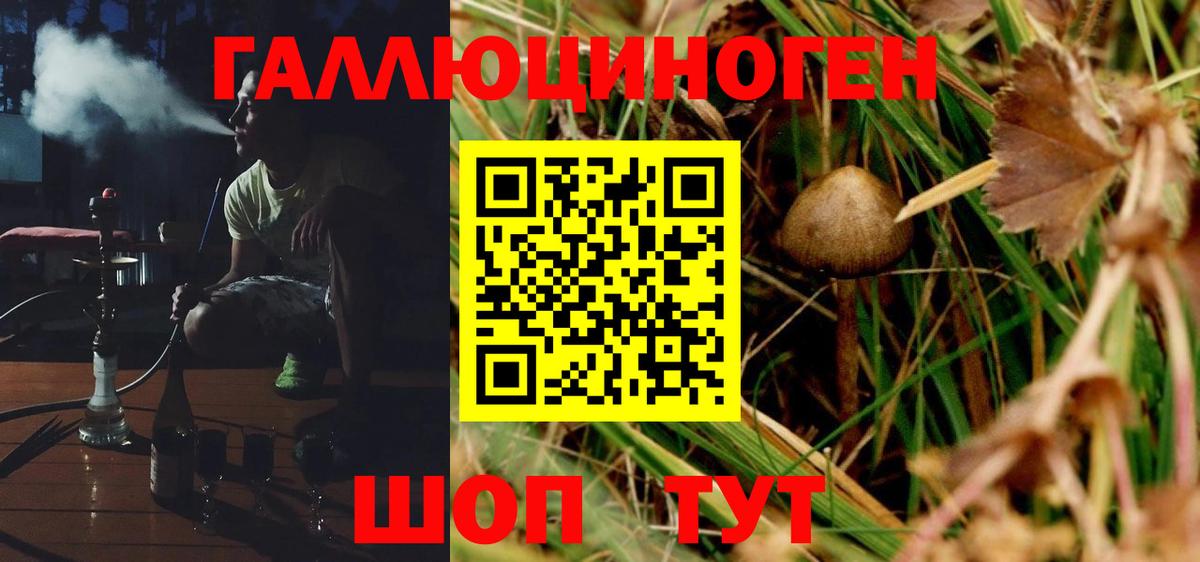 Псилоцибиновые грибы GOLDEN TEACHER Шадринск