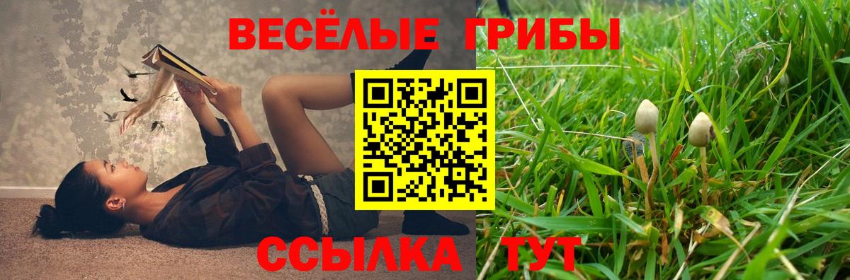  Кокаин Шадринск